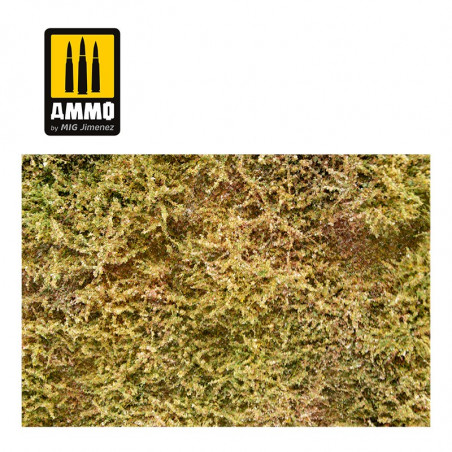 ARBUSTOS PEQUEÑOS – PRIMAVERA