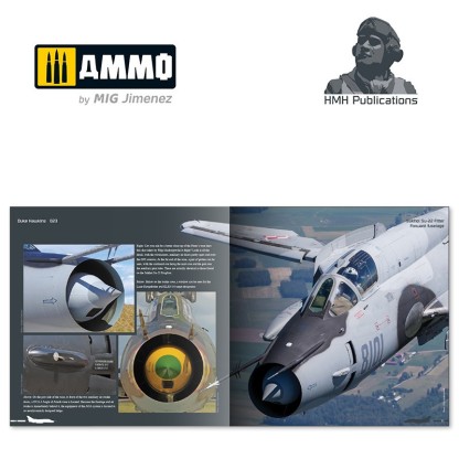 Sukhoi Su-22 Fitter 2