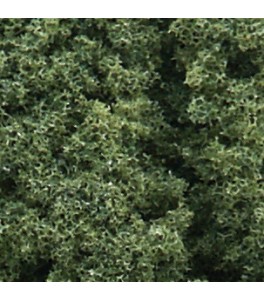 Foliage Cluster medium green