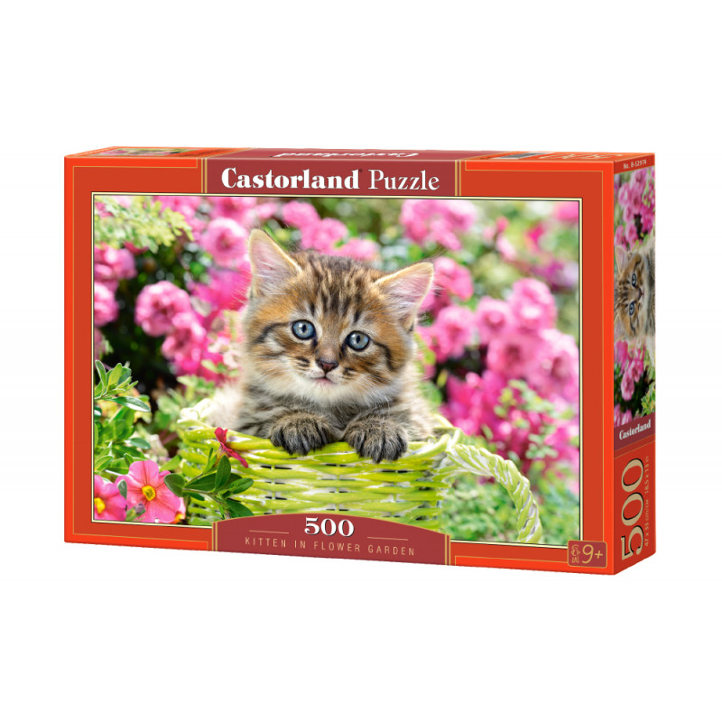 KITTEN IN FLOWER GARDEN