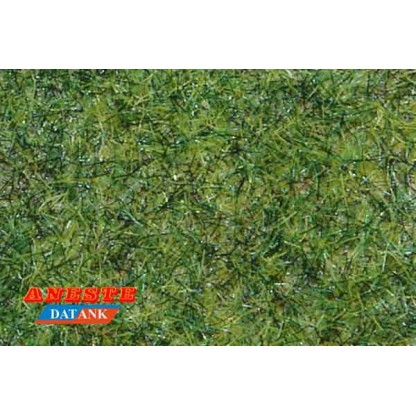 CESPED CON PIEDRAS PEQUEÑAS NOCH