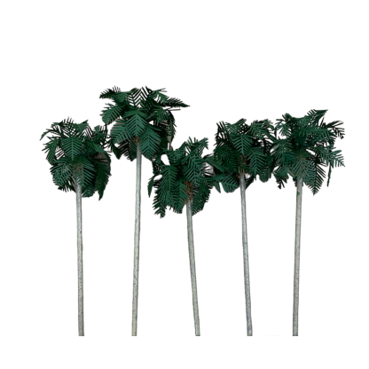 Palmera Washingtonia de 90 m/m de altura