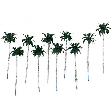 PALM TREES SET B
