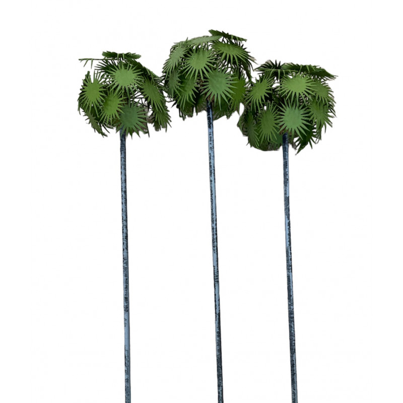 Palmira palm tree 130 m/m high