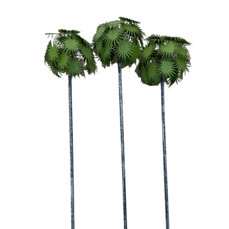 Palmera Washingtonia de 90 m/m de altura