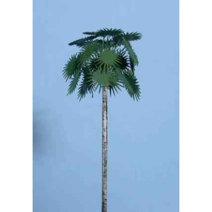 Palmira palm tree 130 m/m high 2