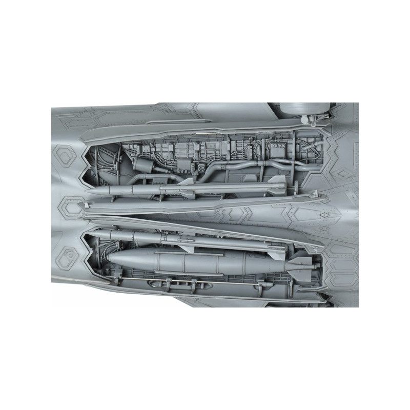 Grumman F-14A Tomcat 1/48