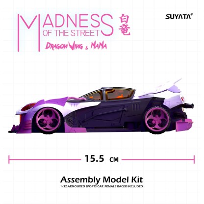 Madness of the Street Dragon Wing & Nana 1/32 2