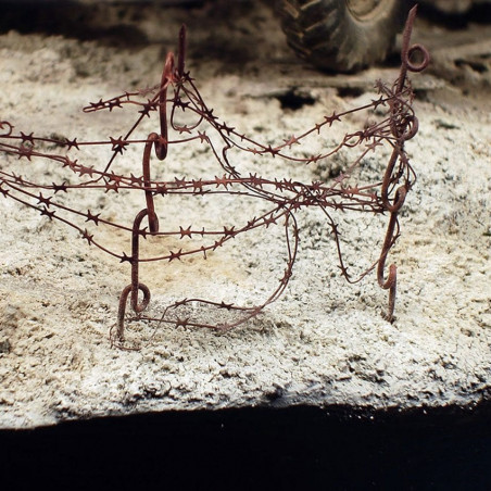 Terrains dry ground 250ML