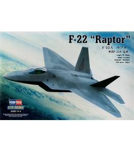 F-22 Raptor  1/72