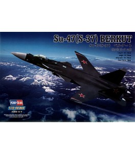 Sukhoi SU-47 (S-37) Berkut 1/72