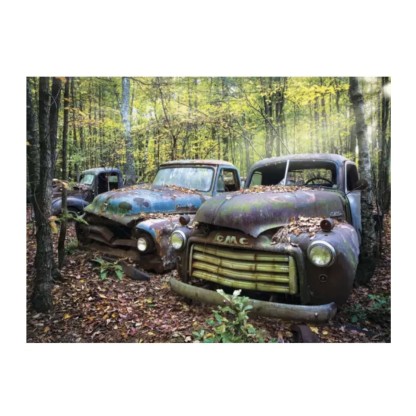 Puzzle Anatolian Restos del Pasado de 1000 Piezas 