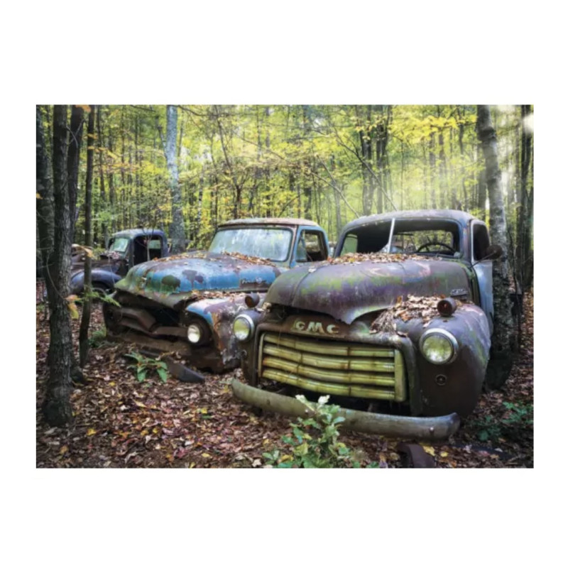 Puzzle Anatolian Restos del Pasado de 1000 Piezas 