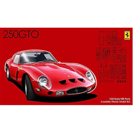 Ferrari 250GTO Special Version 