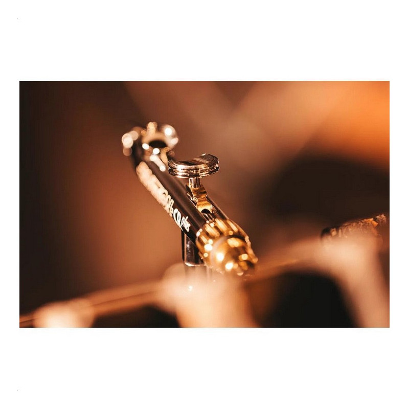 Harder & Steenbeck: Airbrush EVOLUTION 2024 CRplus 2in1 incl 0.28mm & 0.45mm FineLine headset and 2ml & 5ml cup