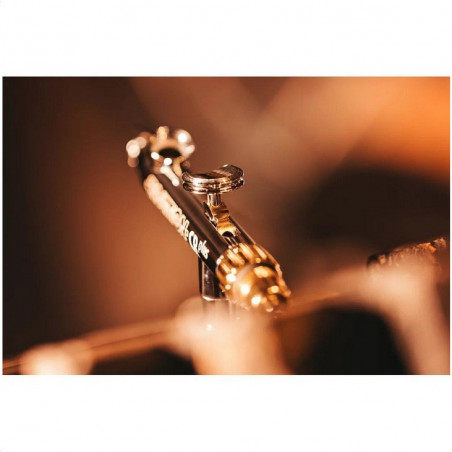 Harder & Steenbeck: Airbrush EVOLUTION 2024 CRplus 2in1 incl 0.28mm & 0.45mm FineLine headset and 2ml & 5ml cup