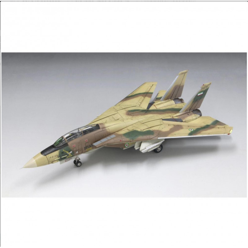 Grumman F-14A Tomcat IRIAF