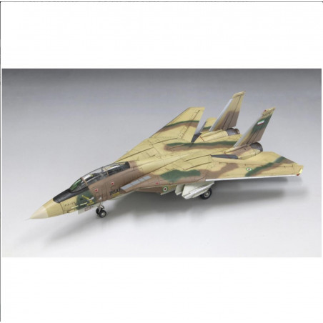 Grumman F-14A Tomcat IRIAF