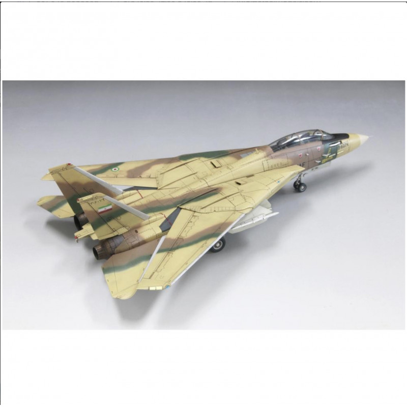 Grumman F-14A Tomcat IRIAF