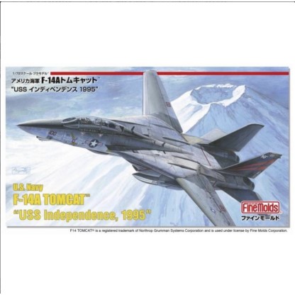 US Navy F-14A Fighter Aircraft (Tomcat)