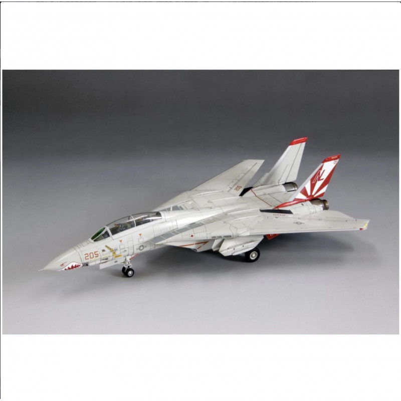 US Navy F-14A Fighter Aircraft (Tomcat)