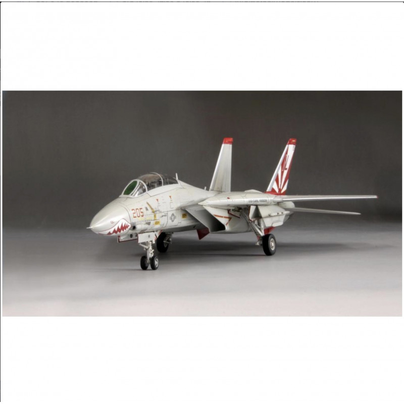 US Navy F-14A Fighter Aircraft (Tomcat)