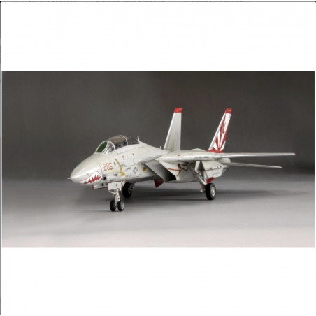 US Navy F-14A Fighter Aircraft (Tomcat)