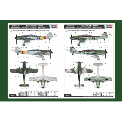 Focke Wulf Fw 190D-9 1/48 2