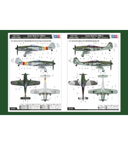 Focke Wulf Fw 190D-9 1/48