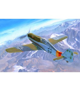 Focke Wulf Fw 190D-9 1/48