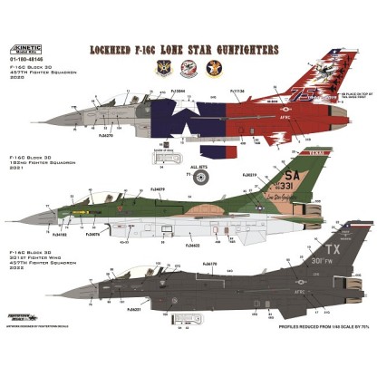 General Dynamics F-16 C - Texas ANG (The Lone Star Gunfighters) 2