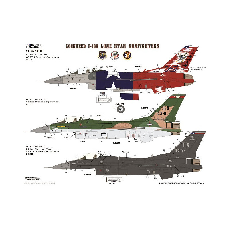 General Dynamics F-16 C - Texas ANG (The Lone Star Gunfighters)