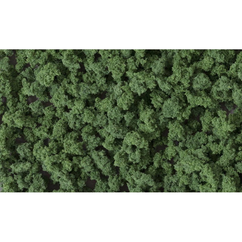 Arbusto verde oscuro