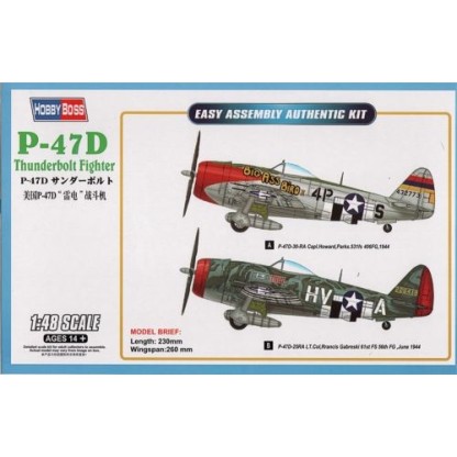 Republic P-47D Thunderbolt Fighter 1/48