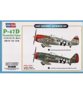 Republic P-47D Thunderbolt Fighter 1/48