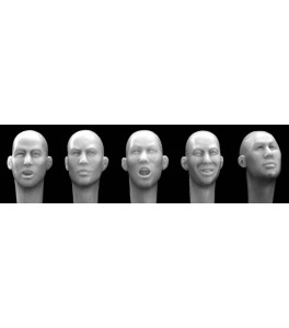 CABEZAS ESTE ASIATICO EXPRESIVAS HORNET