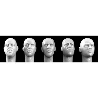 CABEZAS EUROPEAS SIN PELO