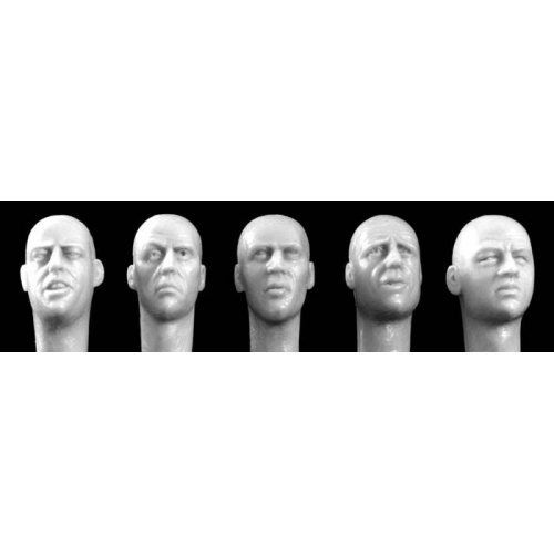 CABEZAS EUROPEAS SIN PELO