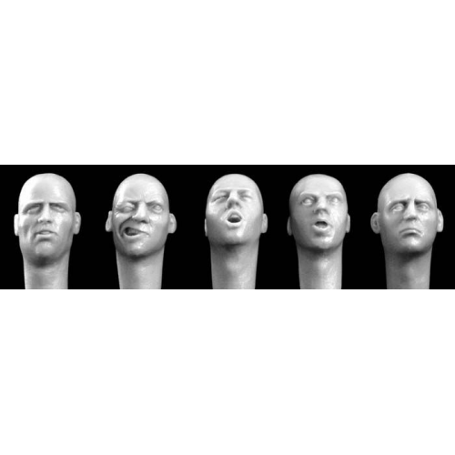 CABEZAS VARIADAS EUROPEAS 1/35 HORNET