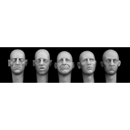 CABEZAS CON GESTOS 1/35 HORNET