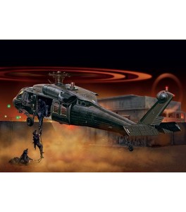 UH-60 Black Hawk Night Raid 1/48