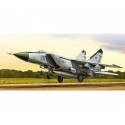 MIG-25PD 1/48
