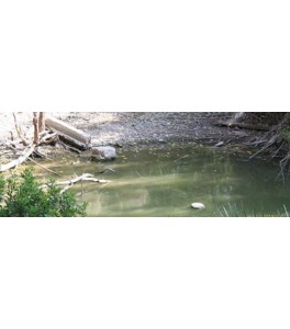 AGUAS TRANQUILAS VALLEJO 200ML.