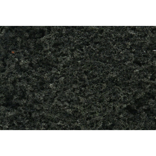 Foliaje verde conifera