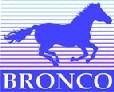 BRONCO MODELS